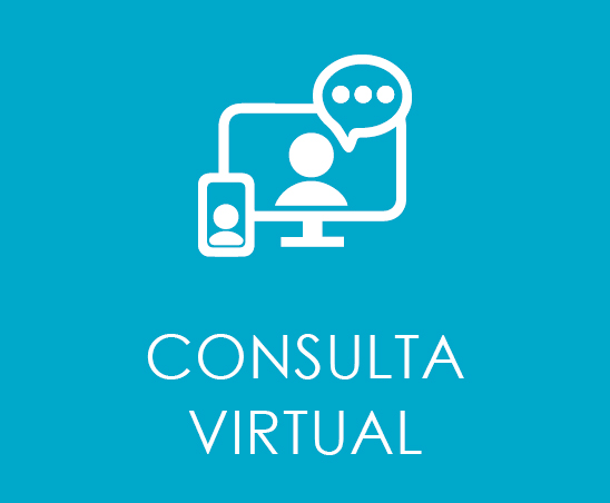 CONSULTA VIRTUAL